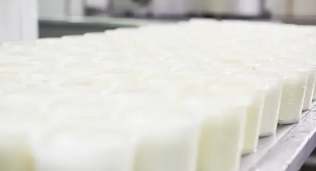 Photo de pots de lait transformé en fromage