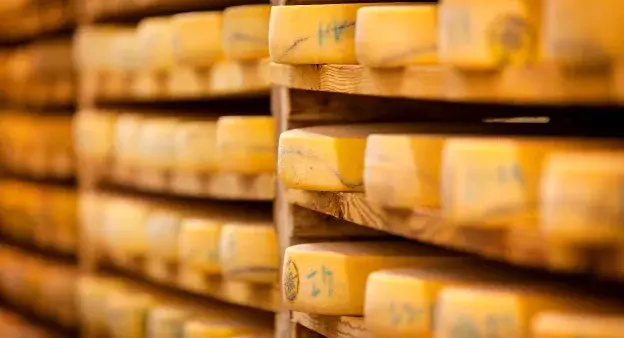 Photo d'une grande réserve de fromage