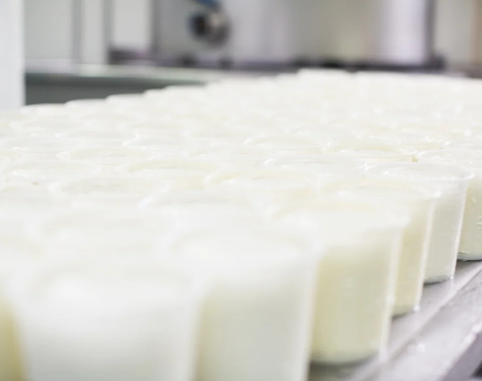 lait-fromage AdobeStock_170071737