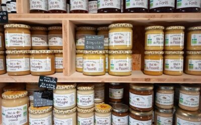 Miel de montagne : un délice artisanal venu des sommets du Jura